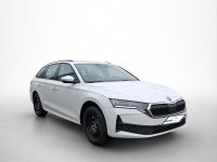Skoda Octavia - Vorschau Bild 3
