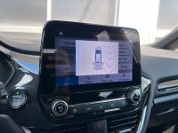 Ford Fiesta 1.0 EcoBoost ST-Line 1HD 8FACH PDC LED bei Autohaus Landmann & Maier OHG