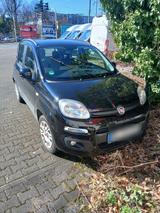 Fiat Panda 80tkm 51kw - Fiat Panda Gebrauchtwagen in Wuppertal