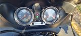 Suzuki Bandit 600 - Offers matching your search criteria