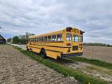 Andere School Bus Navistar 3800 - LKWs & Trucks in Karlsruhe
