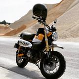 Honda Monkey 125 - HONDA MONKEY