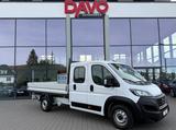 Fiat Ducato Maxi 180 L5 Pritsche Doppelk. 35 7-Sitzer - Fiat Ducato: Kleinbus, 7 Sitzer