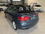 Audi A3 1.8 TFSI SHZ PDC WINDSCHOTT - Audi A3 aus 2010: Cabrio