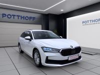 Skoda Superb - Vorschau Bild 7