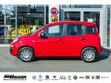 Fiat Pandina ICON Hybrid 1.0 GSE TEMPOMAT PDC LANE 5- - Fiat New Panda Gebrauchtwagen