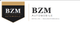 BZM-Automobile  Berlin/Brandenburg
