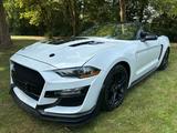 Ford Mustang 2.3 Cabrio EcoBoost/SHZ/PDC-KAMERA - Ford Mustang aus 2019