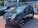 Fiat Panda Cross MY22 City Plus 1.0*Klima*Servo - Fiat Panda: My