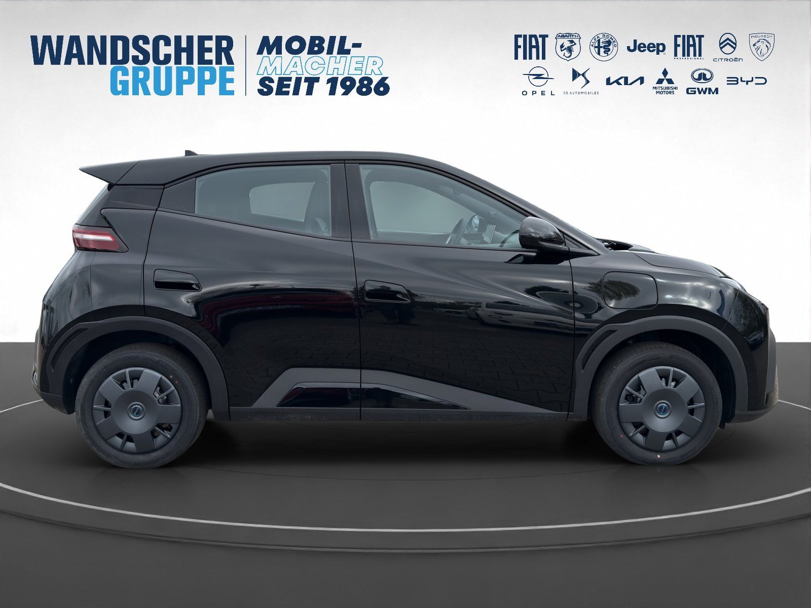 BYD DOLPHIN SURF