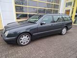 Mercedes-Benz E 320 T CLASSIC - Mercedes-Benz E 320 mit Benzin-Antrieb: Kombi