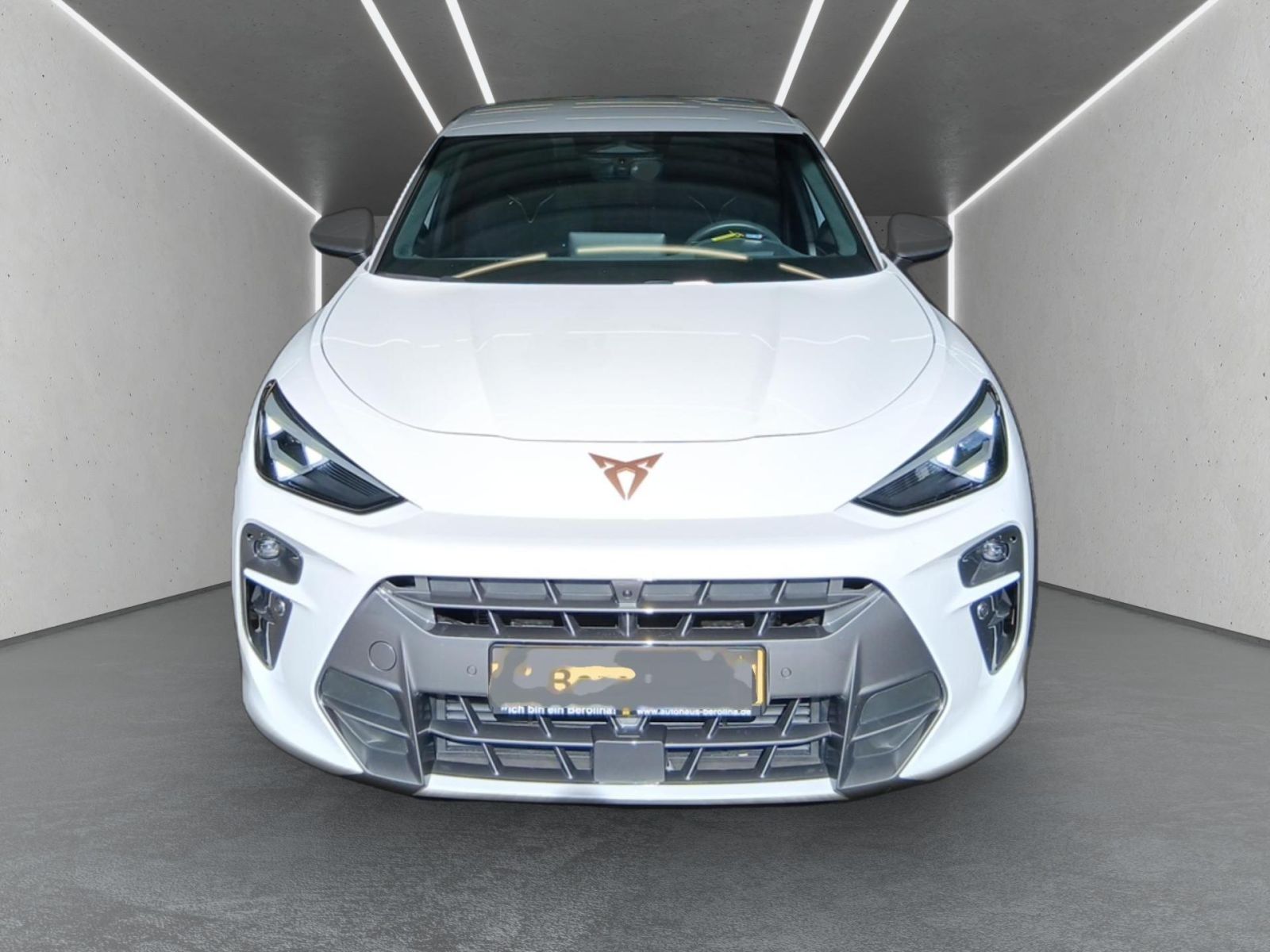 Cupra Terramar - Bild 5