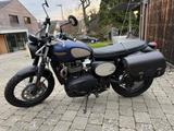 Triumph Street Scrambler Goldline - TRIUMPH STREET SCRAMBLER
