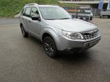 Subaru Forester 2.0X Edition - Subaru Forester in Stuttgart