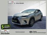 Vorschaubild Lexus NX 300 h Executive Line Klima, Alu, LED
