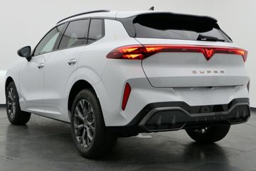 Cupra Terramar - 10