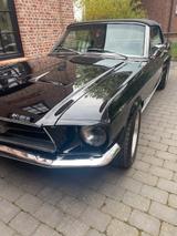 Ford Traumhaftes Ford Mustang Cabrio 1967  - Ford Mustang aus 1967: Cabrio