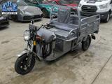 Andere CARGO CRUISER  - ELEKTRO KLEINKRAFTRAD