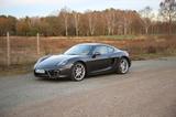 Porsche Cayman S *Approved* SAGA* PDK* 8fach 981 *6 Zyl. - Porsche: 981