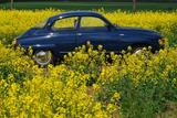 Saab SAAB 96 V 4 - Saab 96 mit Benzin-Antrieb: Limousine