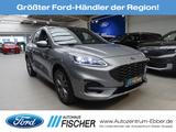 Ford Kuga ST-Line X 2.0 EcoBlue 4x4 Pano Headup B&O - Ford Kuga Gebrauchtwagen in Münster