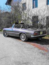 Alfa Romeo Spider - Alfa Romeo Gebrauchtwagen von 1981