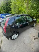Fiat Punto 1.2 8V - - Fiat Punto in Leverkusen