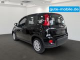 Fiat Panda Pandina Hybrid MY25 70PS  - Fiat Panda Tageszulassungen mit Benzin-Antrieb: Limousine