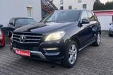 Mercedes-Benz ML 350 ML ML 350 CDI BlueTec - blaue Mercedes-Benz ML 350