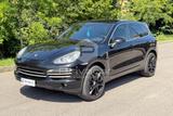 Porsche PORSCHE Cayenne 3.0 Diesel 250CV Platinum Editio - Porsche Cayenne mit Diesel-Antrieb: Kombi