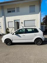 Volkswagen VW Polo 16 V 1.4, 80 PS, 128.000 km, EZ 02... - Volkswagen Polo 16v mit Benzin-Antrieb