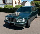 Mercedes-Benz Oldtimer W124 300TDT H- Kennzeichnen - Mercedes-Benz 300: Kombi, 300td