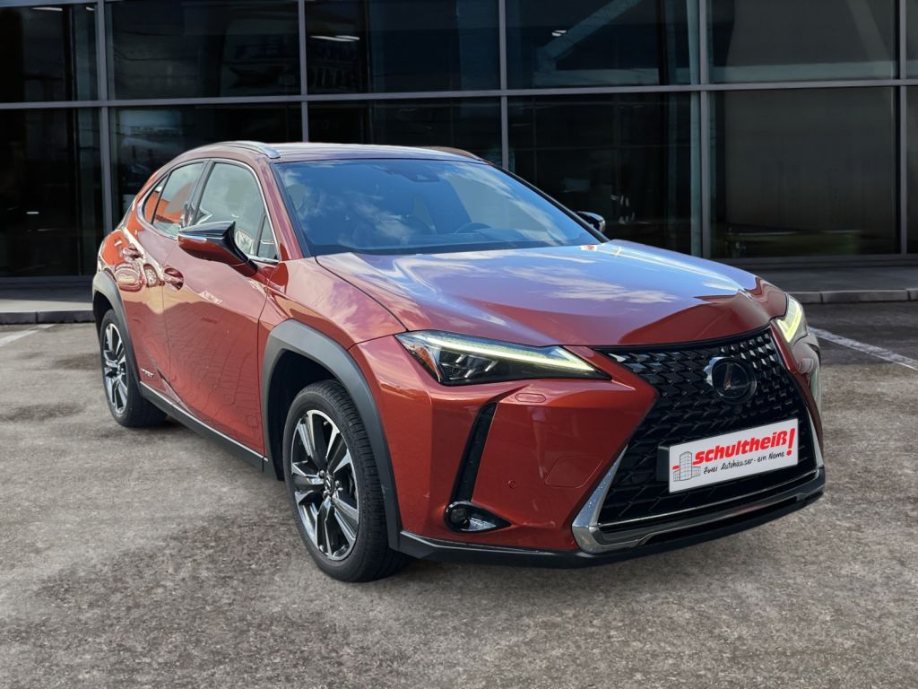 Fahrzeugabbildung Lexus UX 250h  (E-FOUR) Luxury Line