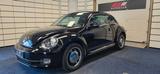 Volkswagen Beetle Lim. Cup - Volkswagen Beetle