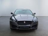 Jaguar XF Prestige - Jaguar XF Gebrauchtwagen