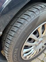 Fiat Punto 1.2 8V YOUNG YOUNG - Fiat Punto YOUNG mit Benzin-Antrieb