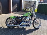Harley-Davidson Sportster XL1200V / Seventy-Two - Offers matching your search criteria
