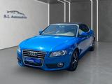 Audi A5 Cabriolet 2.0 TFSI  Wagen Nr 098 - Audi A5 bis 10.000 Euro
