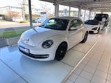 Volkswagen Beetle 2.0 TDI DSG*NAVI*LEDER*XENON*S-HEFT*TÜV25