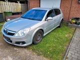 Opel Signum - Opel Signum mit Diesel-Antrieb: Limousine
