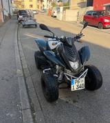 Dinli Quad - DINLI QUAD