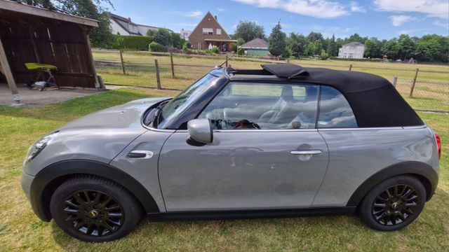 MINI Mini Cabrio
