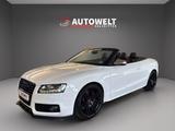 Audi S5 3.0TFSI Cabrio quattro NAVI*B&O*BI-XEN*KAMERA - gebrauchte Audi S5 aus dem Jahr 2009
