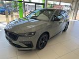 Skoda Scala Monte Carlo, verl. Garantie - Skoda Scala: Grau, Garantie