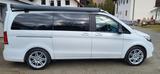 Mercedes-Benz Marco Polo - AMG Line -  Easy Up Dach - Mercedes-Benz Allradantrieb