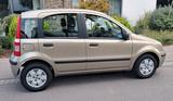Fiat Panda, 50tkm  - gebrauchte Fiat Panda aus dem Jahr 2007