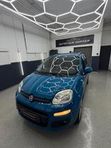 Fiat Panda Lounge 0.9 TwinAir KLIMA PDC MFL BT - Fiat Panda Gebrauchtwagen in Düsseldorf