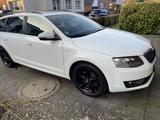 Skoda Octavia L&K | 1.8 TSI | Vollausstattung | Combi - Skoda Octavia Gebrauchtwagen in Münster