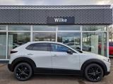 Mazda CX-30 Homura 2.0 SKY-X M Hybr.186PS FWD AT - Mazda Gebrauchtwagen in Magdeburg