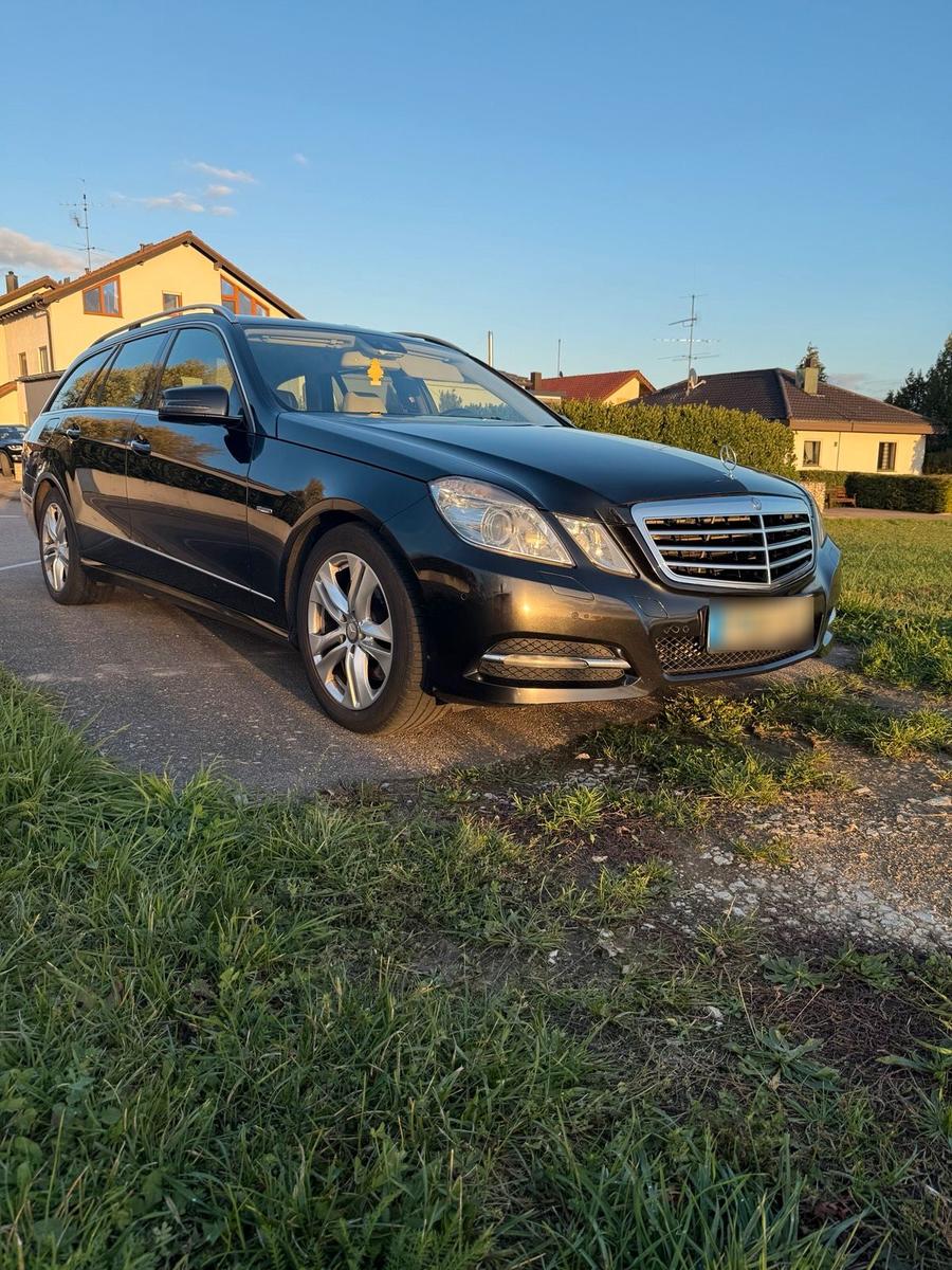 Mercedes-Benz E300 2010 — rear view